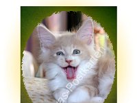 1142 Katze lach doch-mal  © Evas-Postkarten 1142 Katze: lach doch mal