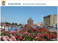 0237 Eckernfoerde Hafen  © Evas-Postkarten 237 Eckernförde, die blühende Ostseestadt