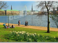 0893 HH-Fruehling  © Evas-Postkarten 0893 Frühling an der Binnenalster