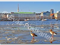 1098 Hamburg Winter  © Evas-Postkarten 1098 die Binnenalster im Winter