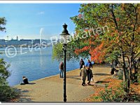 1104 Hamburg Spaziergang um die Alster  © Evas-Postkarten 1104 Herbst in Hamburg-Spaziergang um die Binnenalster